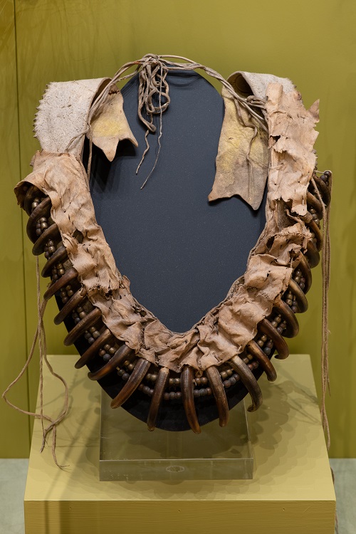 Bear claw necklace c. 1860-1870. Bear claws, rawhide, brass beads, with brain- tanned hide; constructed with a single row of claws spaced with two rows of brass beads between them. Brain-tanned hide is wrapped around the inside portion of the necklace. (photo 1 of 3)
